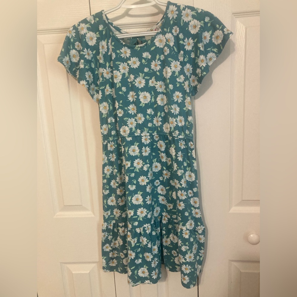 Girl’s dress size large